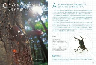 昆虫見開き.jpg