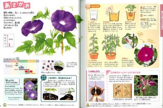 本文.jpg