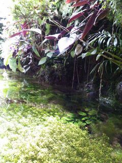 淡水.jpg