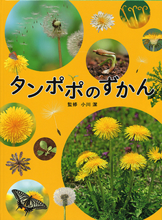 表紙re.jpg