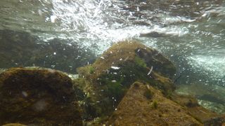 IMGP0595.jpg