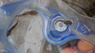 IMGP0635.jpg