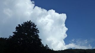 IMGP0645.jpg