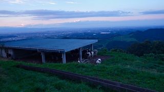 IMGP0657.jpg