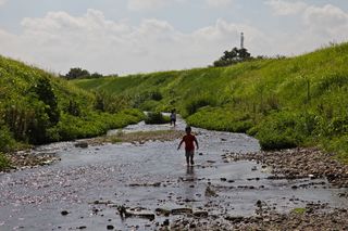 IMG_0815.jpg