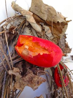 IMG_1718.jpg