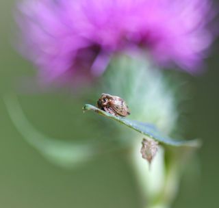IMG_3481.jpg