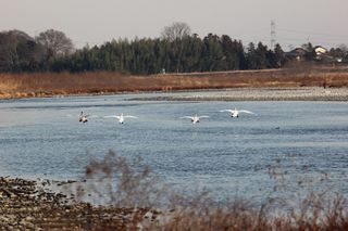 IMG_3809.jpg