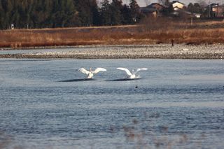 IMG_3810.jpg