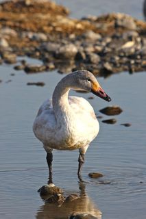 IMG_3837.jpg