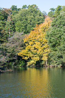 JTP131108_0877.jpg