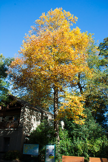 JTP131113_1193.jpg