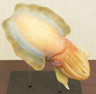 JTP141129_5735.jpg