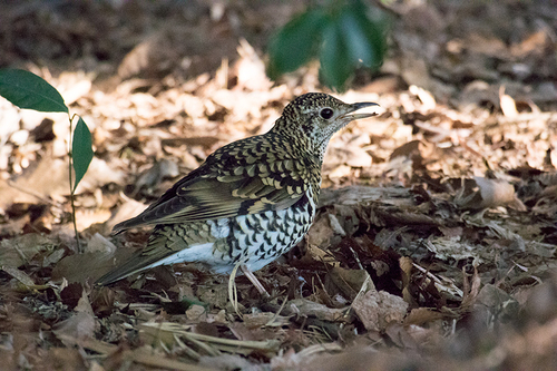 JTP150312_1905.jpg