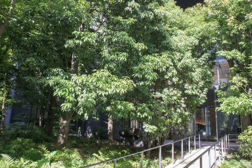 JTP150713_7073.jpg