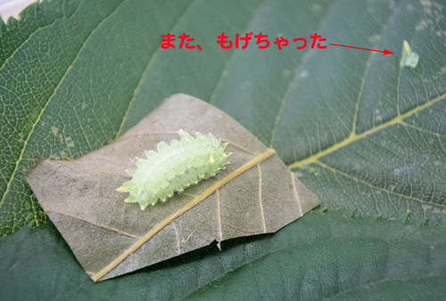 JTP150810_9697.jpg