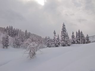 R0011051.jpg