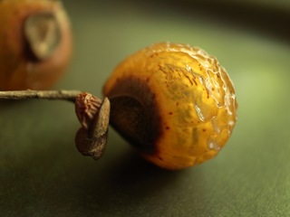 R0012603.jpg