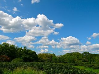 R0013886.jpg