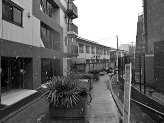R0015616.jpg
