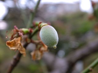 R0016301.jpg
