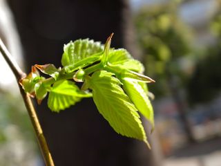 R0016341.jpg