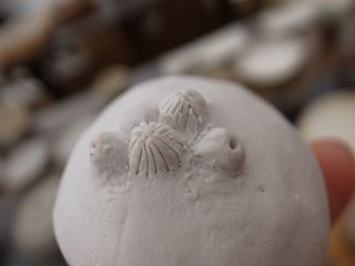 R0016634.jpg