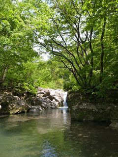 R0016860.jpg