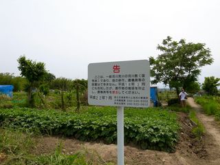 R0017281.jpg