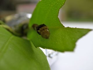 R0018180.jpg