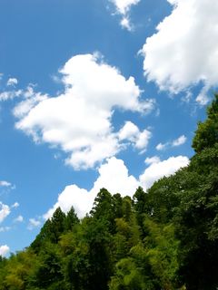 R0018580.jpg