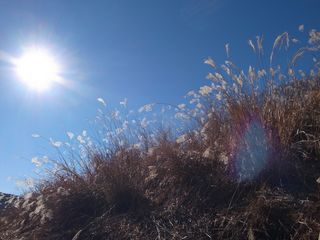 R0023439.jpg