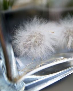 R0024150p.jpg