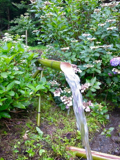 R0024167.jpg