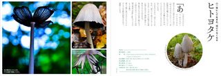 blog_photo_4.jpg