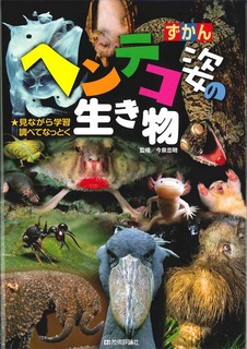 cover.jpg