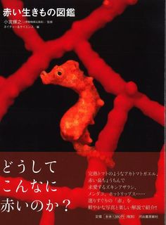 r_cover s.jpg