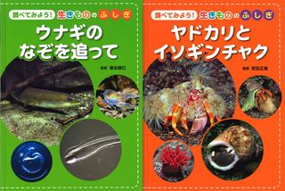 unagi yadokari.jpg