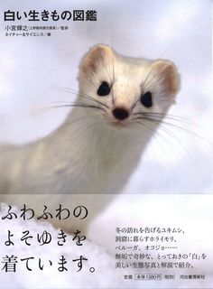 w_cover s.jpg