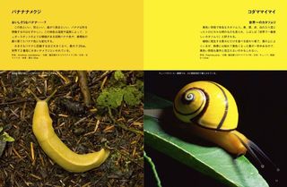 y_12-13.jpg