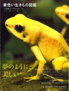 y_cover.jpg